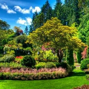 Meet your Posher, Ella